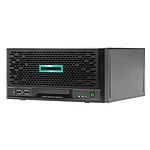 HP E ProLiant MicroServer Gen10 Plus (P16005-421)