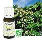 Pranar&ocirc;m Tea Tree - Huile essentielle Bio (10 ml)