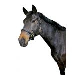 Kerbl Licol cuir eco noir - Taille: 3