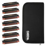 Cascha HH 2224 Professional Blues Set Harmonica diatonique