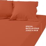 Drap-housse grand bonnet XL Coton TERTIO - Tangerine