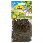JR Farm Racines de pissenlit 150 g