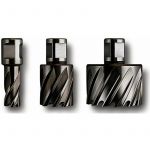 Fein Fraise HSS SPECIAL avec porte-outil Weldon 3/4 in, 26 mm - 63134260301