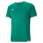 Puma T-shirt Manche Courte Teamliga L Pepper Green / White