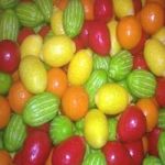 Fini Macédoine de fruits bubble gum (1 kg)