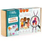Graine Cr&eacute;ative Coffret d&eacute;couverte du Corps Humain - kit de Moulage &eacute;ducatif