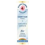 Biofloral Fleurs de Bach Prunus Cherry Plum