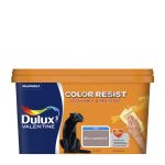 Dulux Valentine Peinture bicouche intérieure Color Resist Murs et Boiseries Mat Brun Cachemire 2,5L