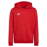 Adidas Unisex Kids Hoody Ent22 Hoody Y, Tepore, H57566, 116 EU
