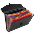 Viquel Valise trieur Rainbow - 13 compartiments - polypropyl&egrave;ne 10/10e - noir int&eacute;rieur multicolore