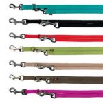 Trixie Premium laisse r&eacute;glable double - M-L: 2,00 M/20 mm, rouge