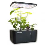 Potager Bioponis Eden