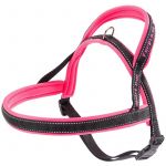 Ferplast SPORT DOG P Harnais pour chiens avec rembourrage soft. Diff&eacute;rentes mesures et couleurs fluo.. Variante MEDIUM - Mesures: A: 58 cm - B: 69&divide;86 cm - Fuchsia