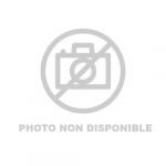 Targus Click In case New iPad 2022 RGold (THZ93208GL)