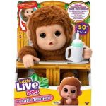 Little Live Pets Mon bébé Singe Jouet Singe interactif, Nourris-Le, Il suce Son Pouce et rigole. avec Plus de 50 Sons et réactions À partir de 4 Ans, Certificat d’Adoption, Biberon et Piles fournis
