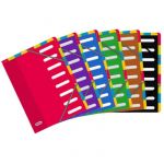 Elba 400037182 - Trieur Color Life A4 8 positions 1-8, en carte pellicul&eacute;e, coloris assortis (6)