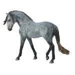 Collecta Figurine Étalon Andalou Dark Dapple Grey