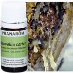 Pranarôm Huile essentielle Bio d'encens, 10 ml