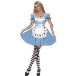 Déguisement princesse du pays merveilleux (taille 42-44)