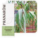 Pranar&ocirc;m Huile essentielle Eucalyptus citronn&eacute; (Eucalyptus citriodora) - 10 ml