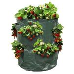 Ose 2 sacs de plantation pour fraises