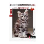 Nathan Puzzle 1000 pièces : Tendresse - Le chaton Maine Coon - Mixte