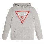 Guess SWEAT-SHIRT À CAPUCHE LOGO TRIANGLE Gris Kids