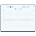 Exacompta 224121E - Agenda de bureau journalier Planifiée 22 (22 x 18 cm)