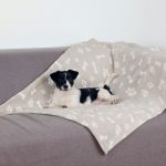 Trixie Couvertures et tapis pour Chiens Kenny couverture Beige