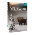 Yellowstone - La Lutte Pour La Vie