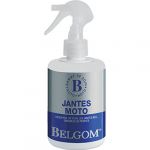 Belgom Nettoyant Jantes Moto 250ml