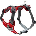 Hunter Harnais Divo Rouge/Gris - XS