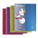 Clairefontaine Linicolor Intensive Evolutiv'book (329155C) - Cahier &agrave; spirales A4+ petits carreaux (90g)