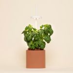 Prêt à pousser Potager connecté Nano Garden terracotta