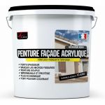 Arcane industries Peinture façade acrylique 14 couleurs - durable jusqu'à 10 ans - rénovation façade, mur crépi - Arcafacade Renov - Pierre Ral 090