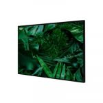Philips Signage Screen 50" 50bdl3650qe/00