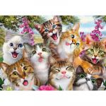 Schmidt Puzzle 500 pièces : Selfie de chats - Mixte