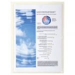 Exacompta Réf. 56310E - Carton de 50 Pochettes adhésives murales - En PVC lisse - Pour afficher des documents ou personnaliser un classeur, une chemise… Format à classer A4 - Coloris cristal