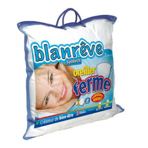 Blanrêve Oreiller synthétique Ferme en coton (60 x 60 cm)