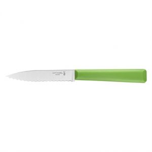 Image de Opinel Couteau Cranté N°313 Essentiels+ - Lame Acier Inox 10 cm - Fort Pouvoir Tranchant - Manche Robuste et Hygiénique - Excellente Prise en Main - Passe au Lave-Vaisselle - Vert