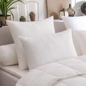 Dodo Oreiller Acarina Anti-acariens MEDIUM - 50/70 - Blanc