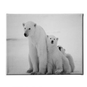 Homemania Tableau, Polyester, Bois, Multicolore, 70 x 2 x 45 cm