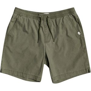 Image de Quiksilver Taxer Short de randonnée Homme, four leaf clover L Shorts loisir