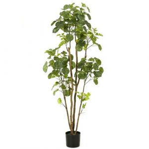 Image de Emerald Arbre de Polyscias artificiel en pot 160 cm