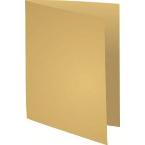 Exacompta 100 chemises dossiers Bahia "220" (24 x 32 cm)