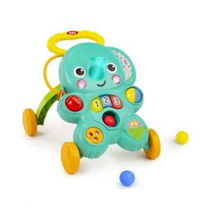 Bright Starts 2-In-1 Ball Play Walker, Stroll 'n Roll? - (Bs-12829)