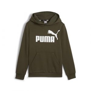 Puma Garçon Big Logo Hoodie FL B Transpirer, Dark Olive, 164 EU