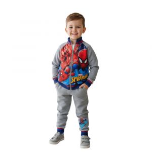 Jogging Enfant Polyester - Survêtement Spiderman Gris - 3 Ans (Taille 3 Ans,Couleur Gris)