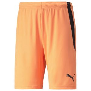Puma Teamliga Shorts, pointure Large - Orange - Taille Large