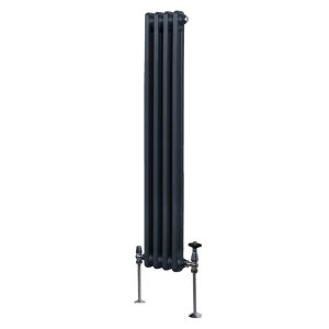 Monster shop Radiateur Traditionnel à Double Colonne – 1500 x 202 mm – Gris Anthracite